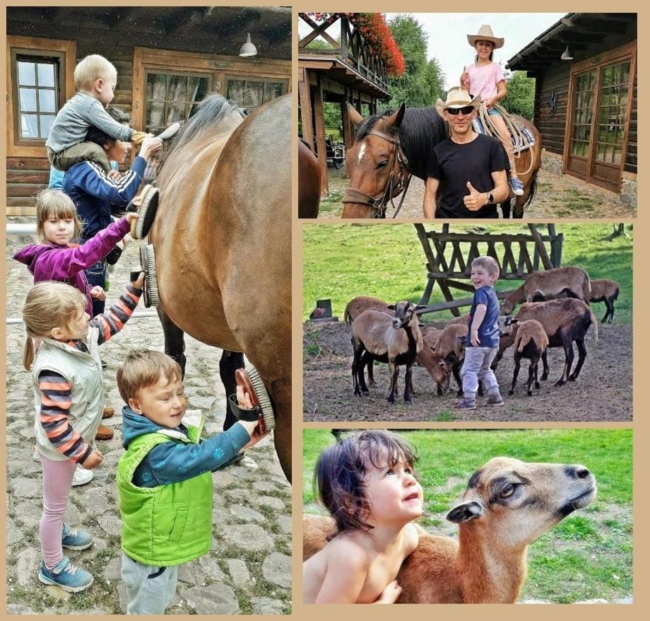 Tamarynowa Osada - Kraina Udanego Wypoczynku Vila Lowyn Exterior foto